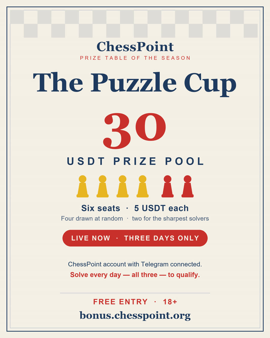Puzzle Cup campaign poster